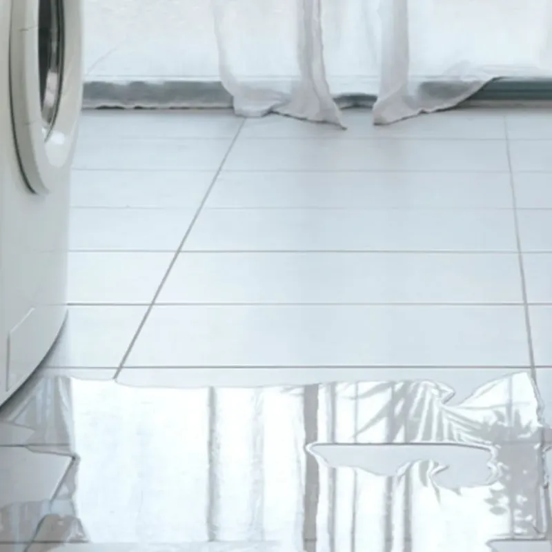 Appliance Leak Cleanup in Whitmore Lake, MI