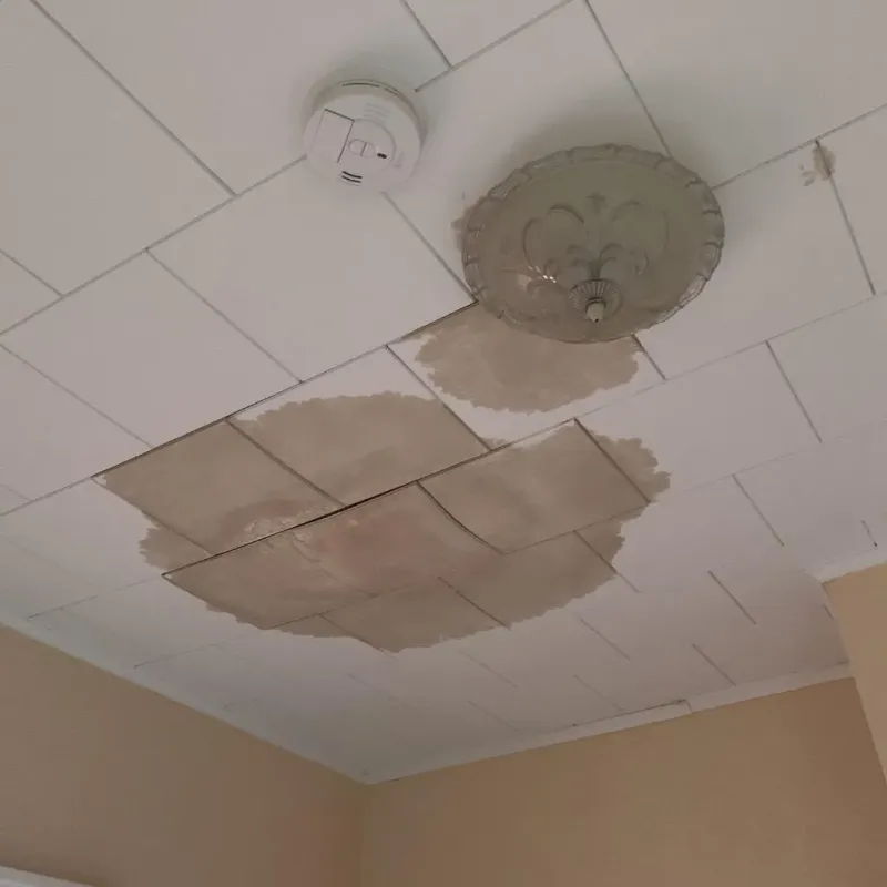 Ceiling Water Damage Repair in Whitmore Lake, MI
