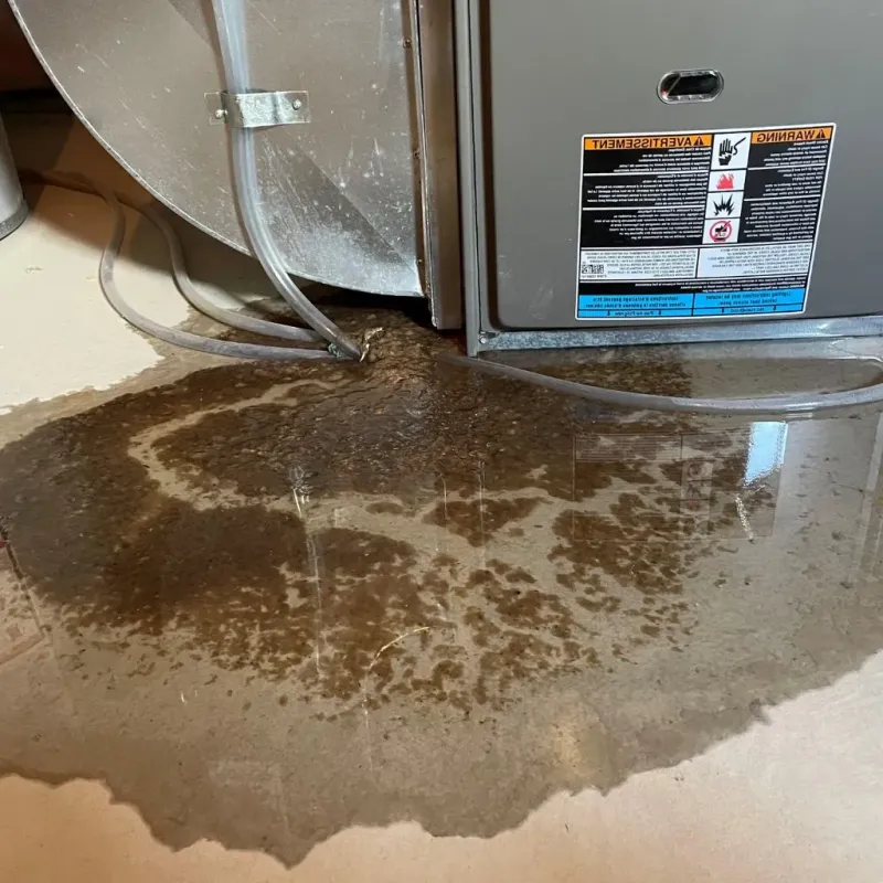 Pipe Burst and Leak Restoration in Whitmore Lake, MI